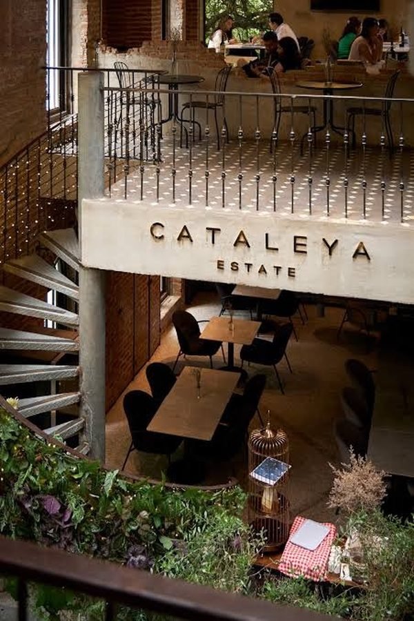 Cataleya Estate – Café in Phra Khanong, Bangkok