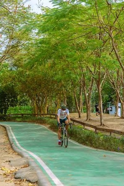 Rot Fai Park – Park in Chatuchak, Bangkok