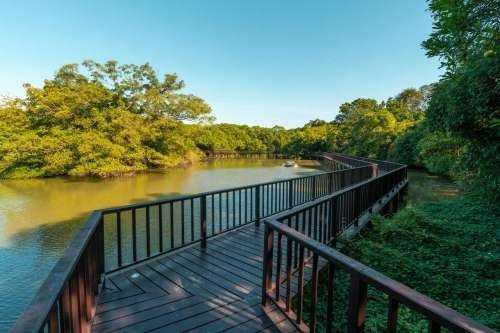 Nature bridge over the swamp at Sri Nakhon Khuean Khan Park