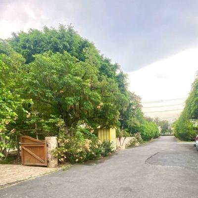 Aglio e Olio Bacon at The Reise