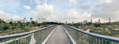 Skywalk over the wetlands at Benjakitti Park