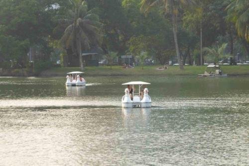 Swan paddle boats on the lake at Lumphini Park